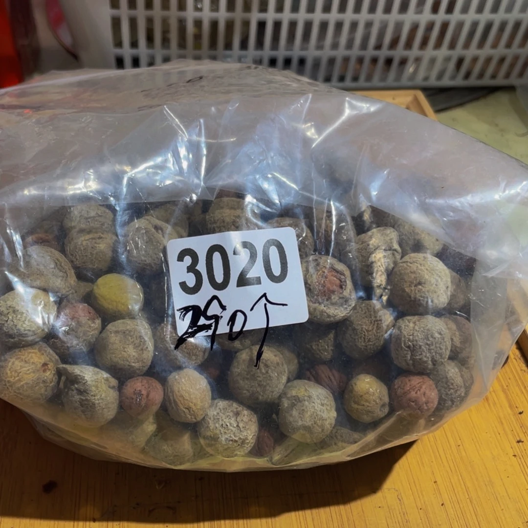 琴***行桃核吊坠桃核散子不退不换