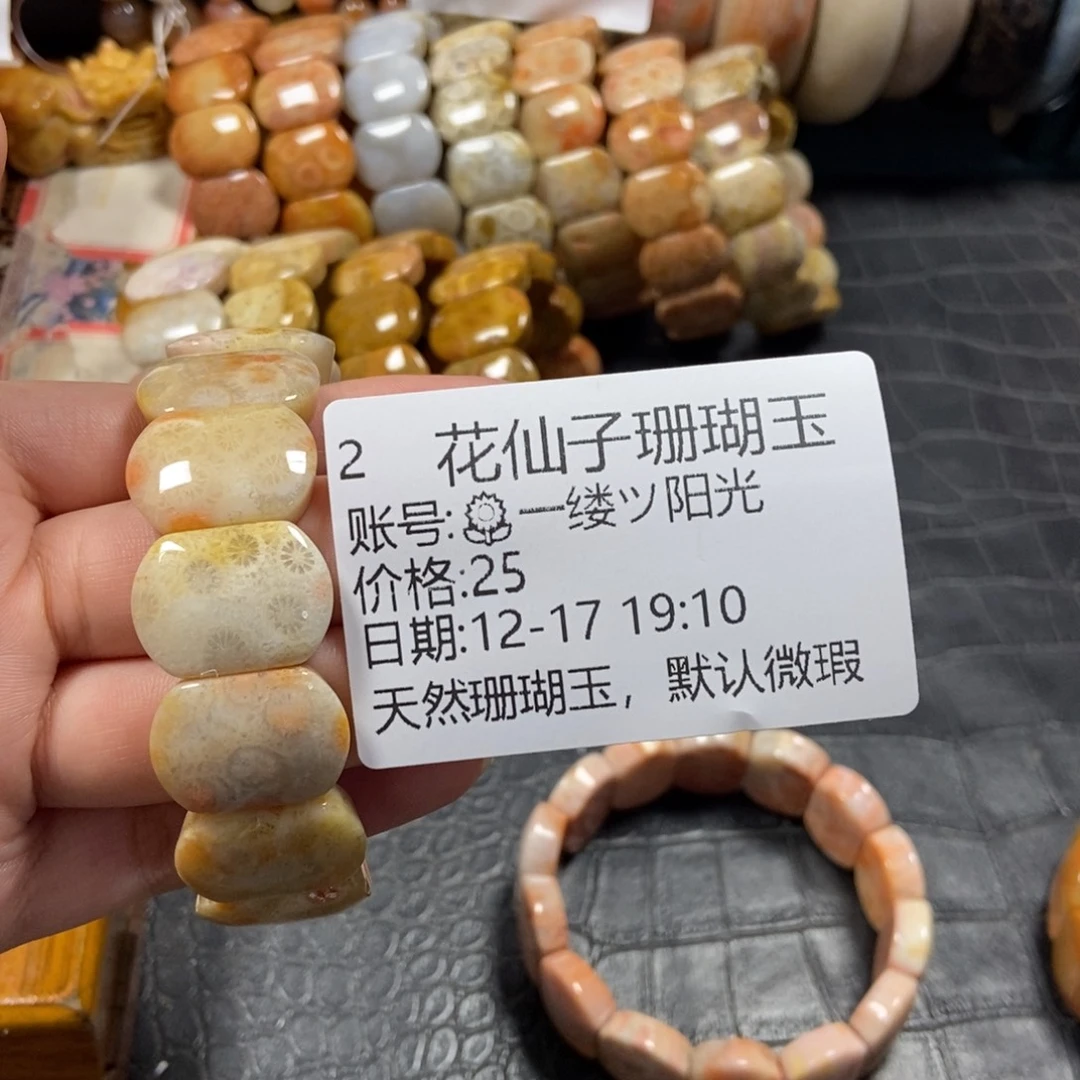 ****光硅化珊瑚（珊瑚玉）未镶嵌珠宝半成品2