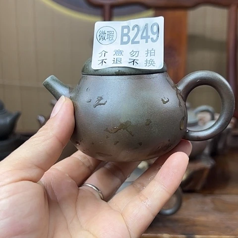 ****。戬谷龙窑柴烧茶壶249