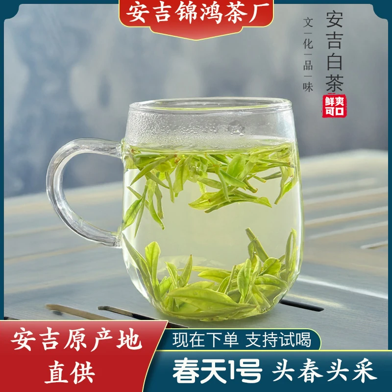 安吉新茶白茶春天一号安吉高山茶绿茶特产茶好白茶耐泡口粮茶茶叶