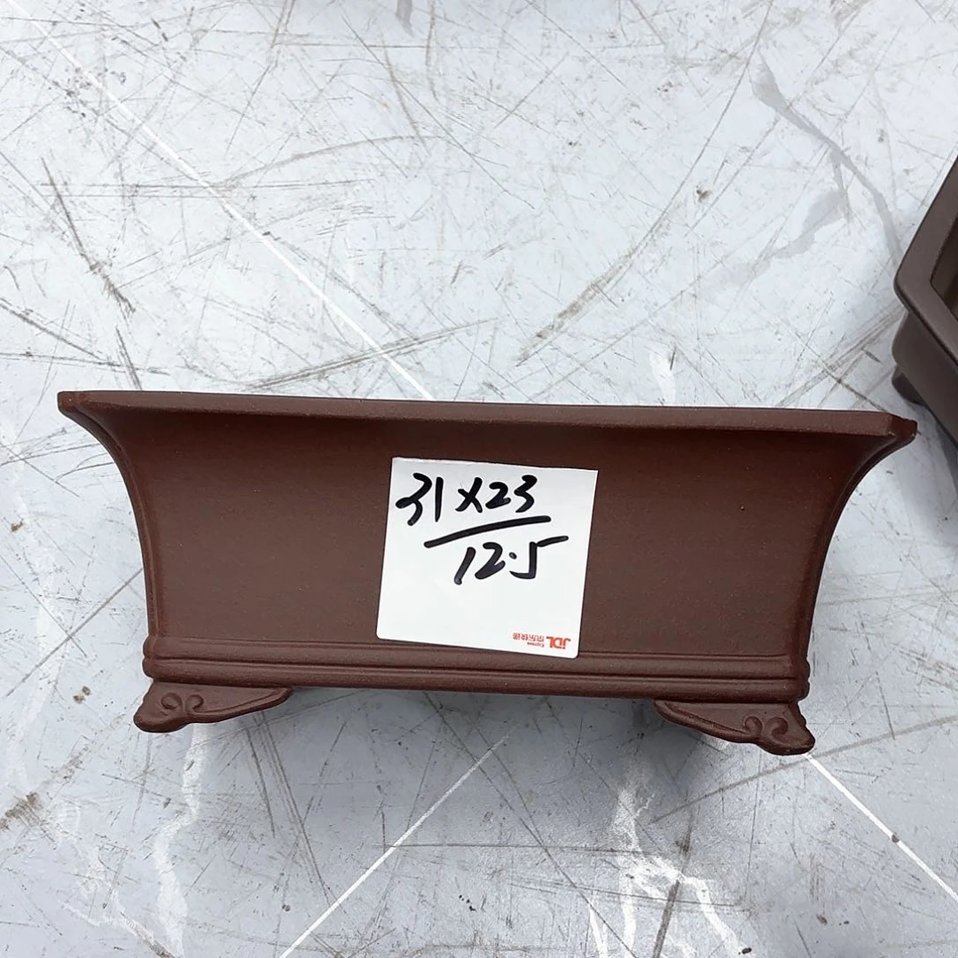 紫砂花盆紫砂的花开得很