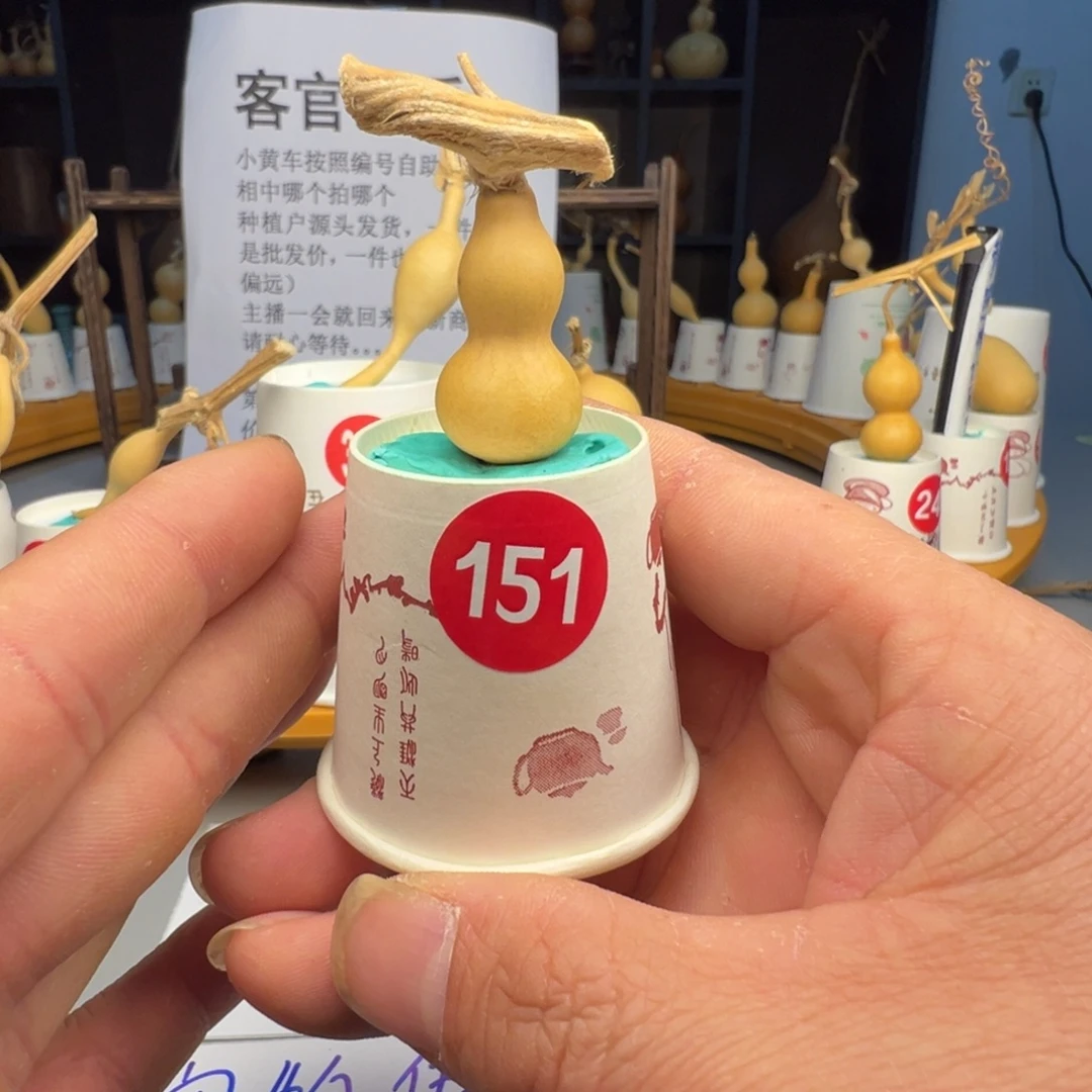 闪电购自助下单编号151