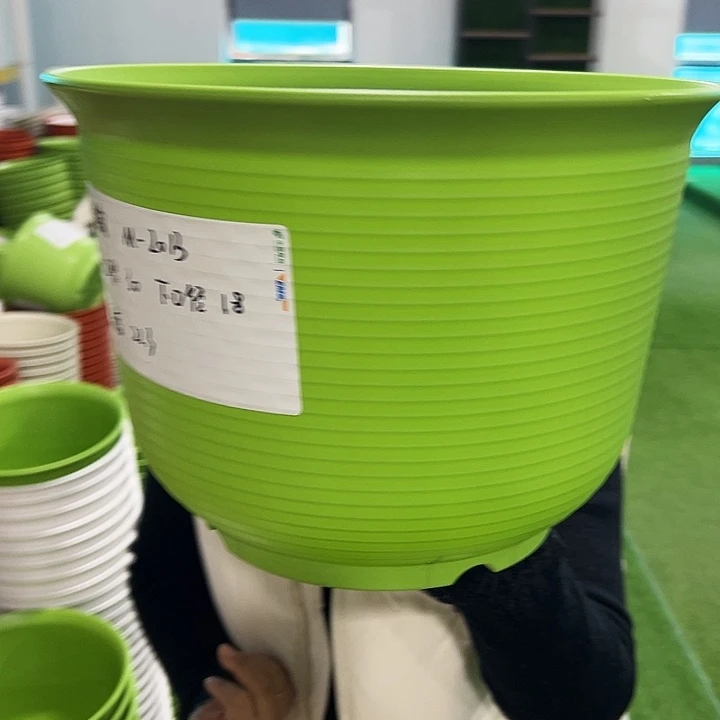 正品矮陶口30高22果绿无托5只