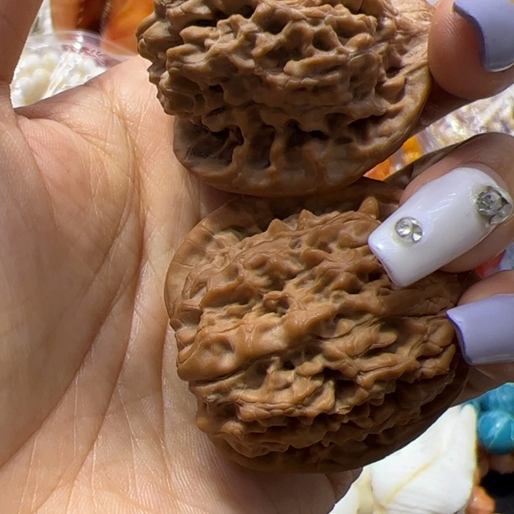 大果紫檀（缅甸花梨）核桃