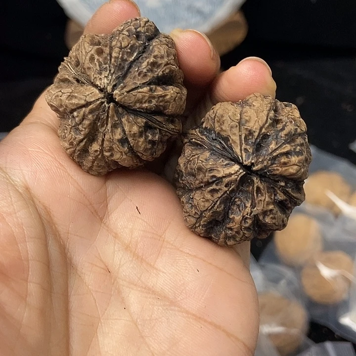 把件文玩核桃云南铁核桃基地112
