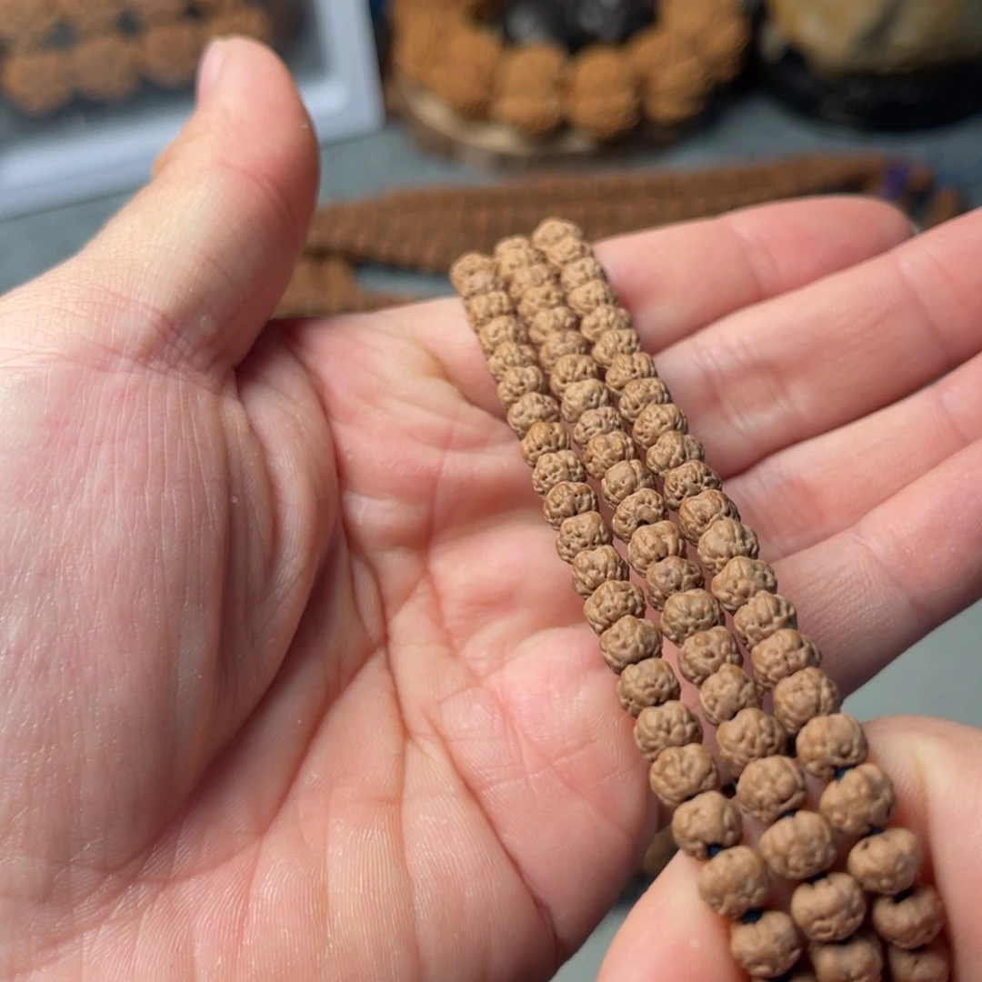 吊坠金刚菩提5大佛手108五爪金龙原生态