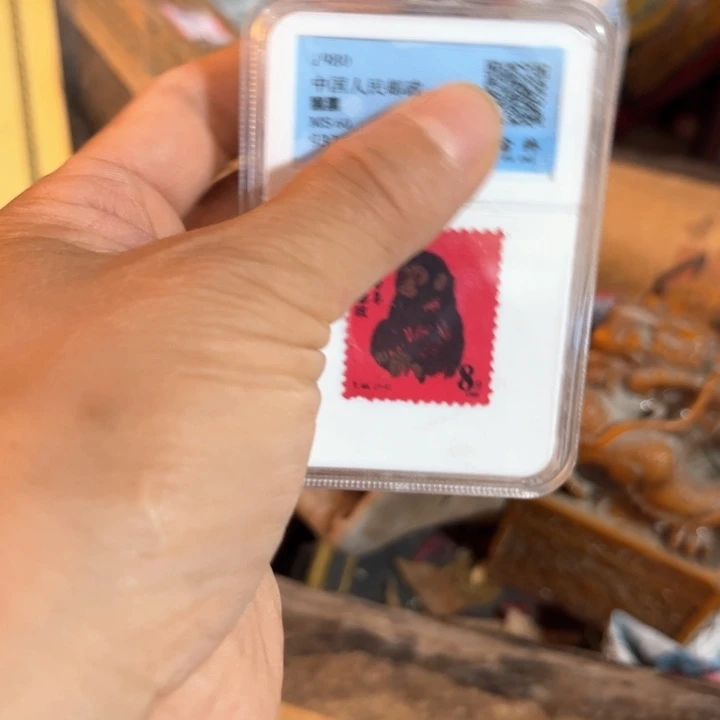 瓷片我是一只小小鸟地域