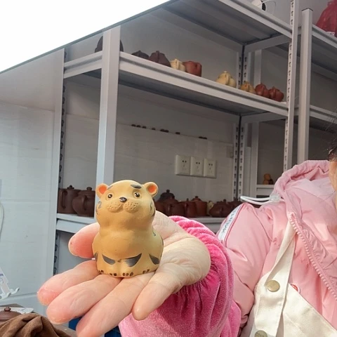 段泥小老虎茶宠茶宠