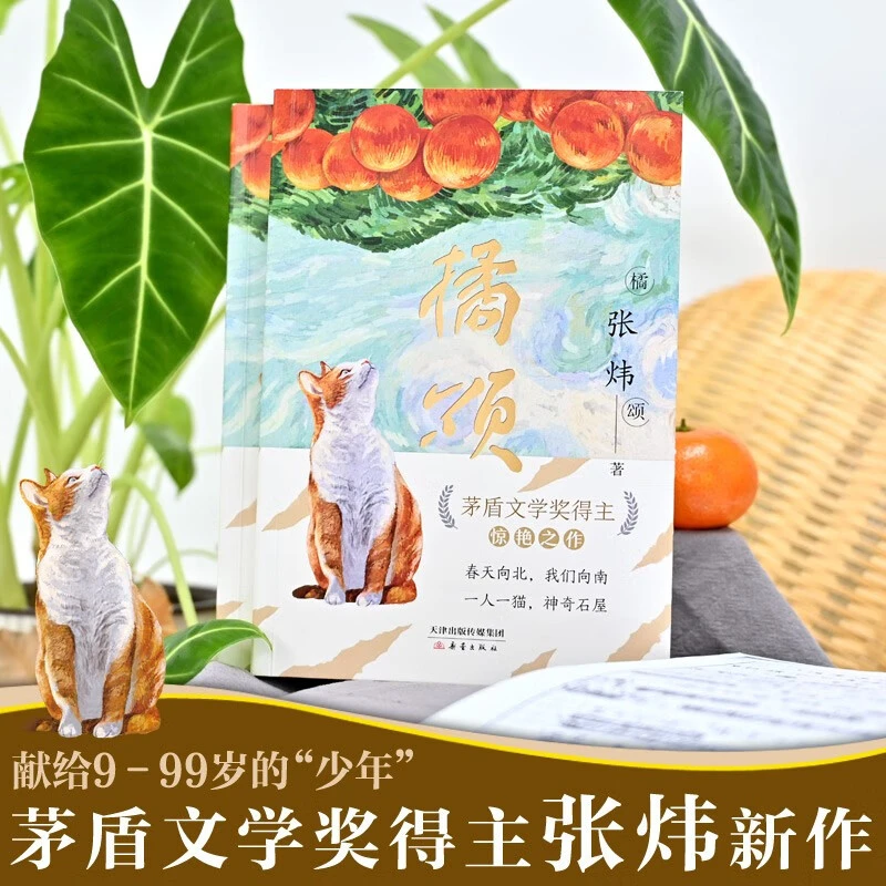 橘颂 张玮茅盾文学奖得主 春天向北 我们向南 一人一猫 神奇石屋