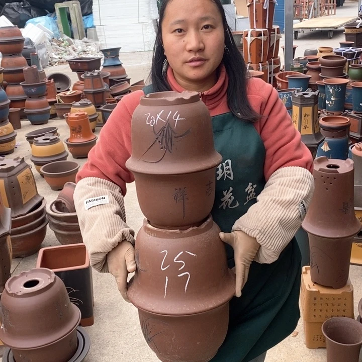 紫砂花盆盆栽花卉苗木种植