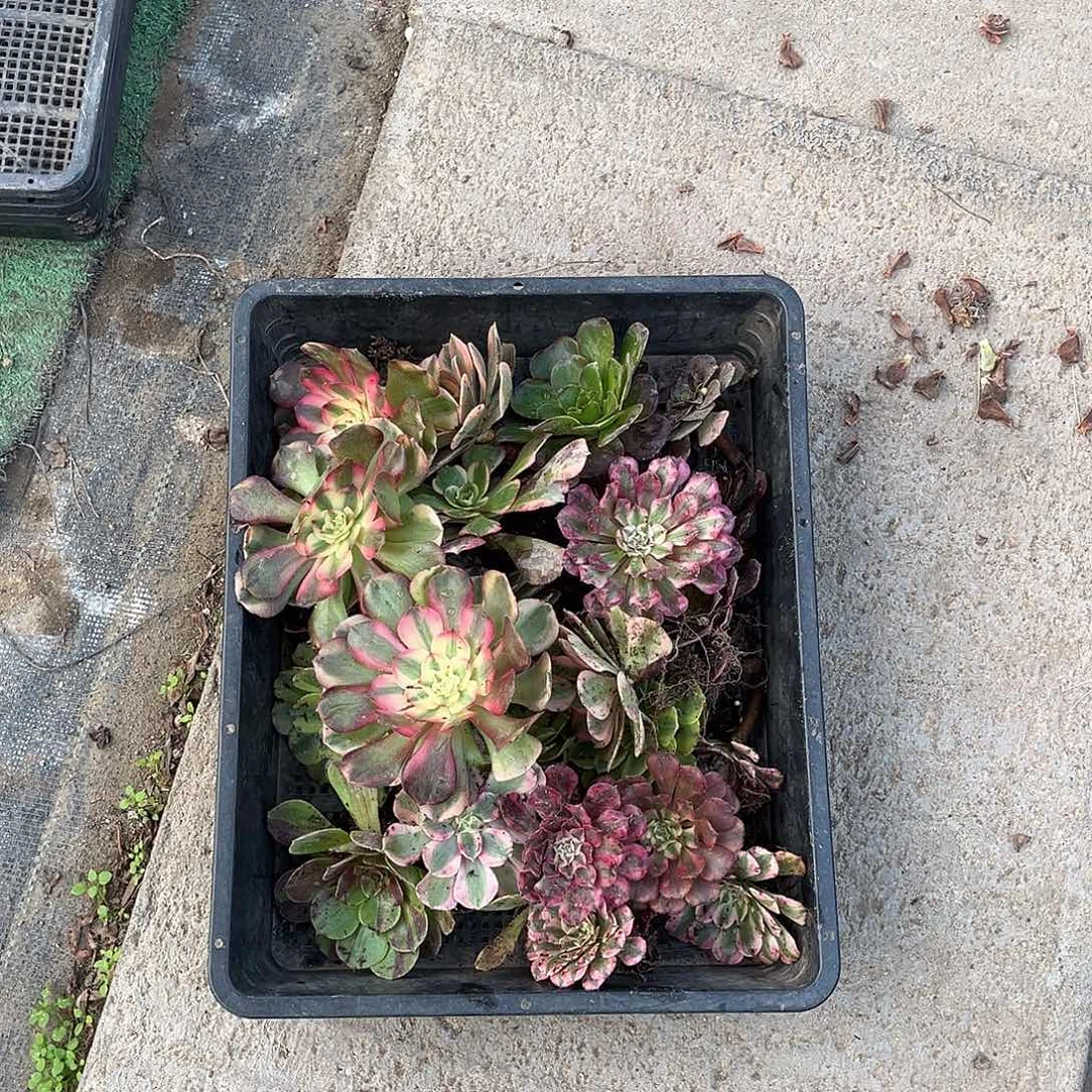 小***贝hhhhhhhhhhhhhhhhh