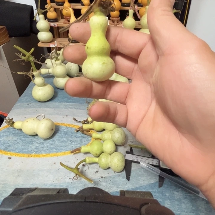 酒***人草珠菩提吊坠葫芦等各种规格型号