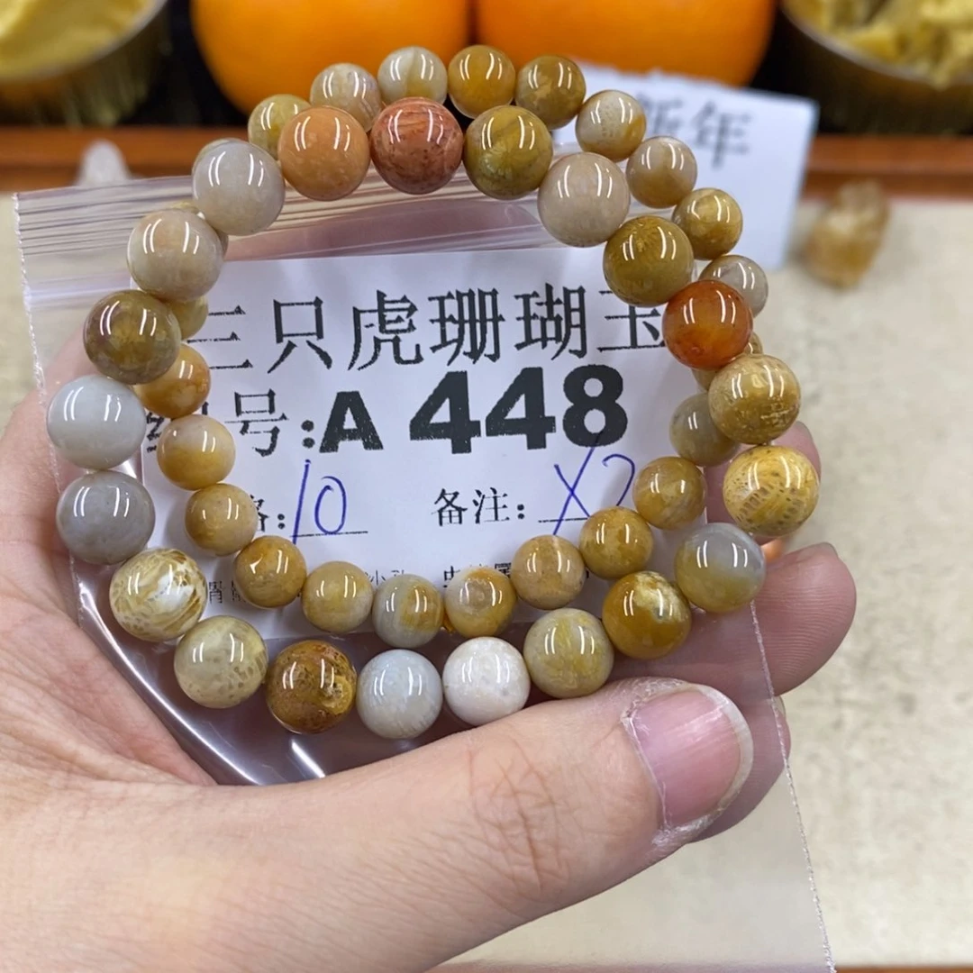 硅化珊瑚（珊瑚玉）1未镶嵌用****舞