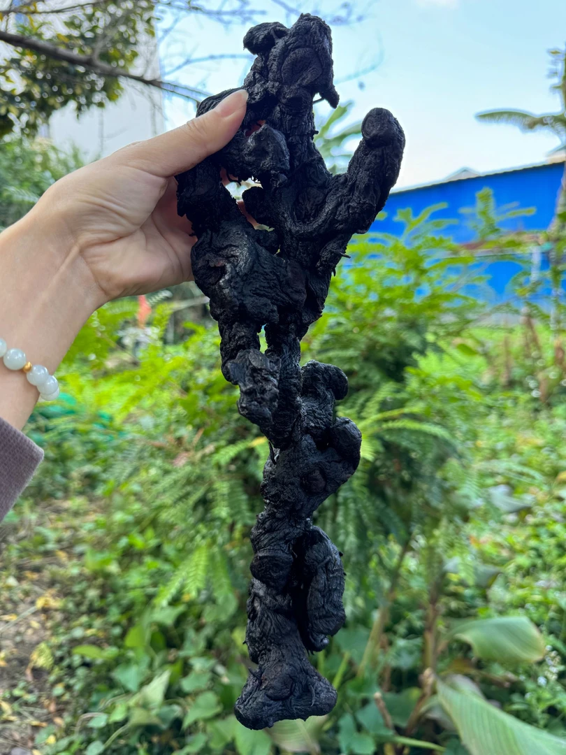 现收土特产 A30 可搭配枸杞 食用农产品