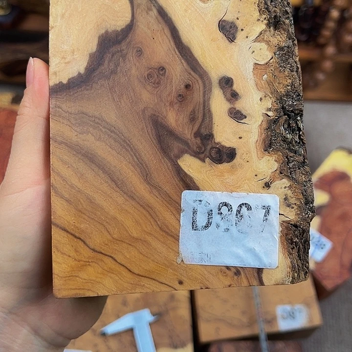 木淡*鬼柳尖叶木栖榄