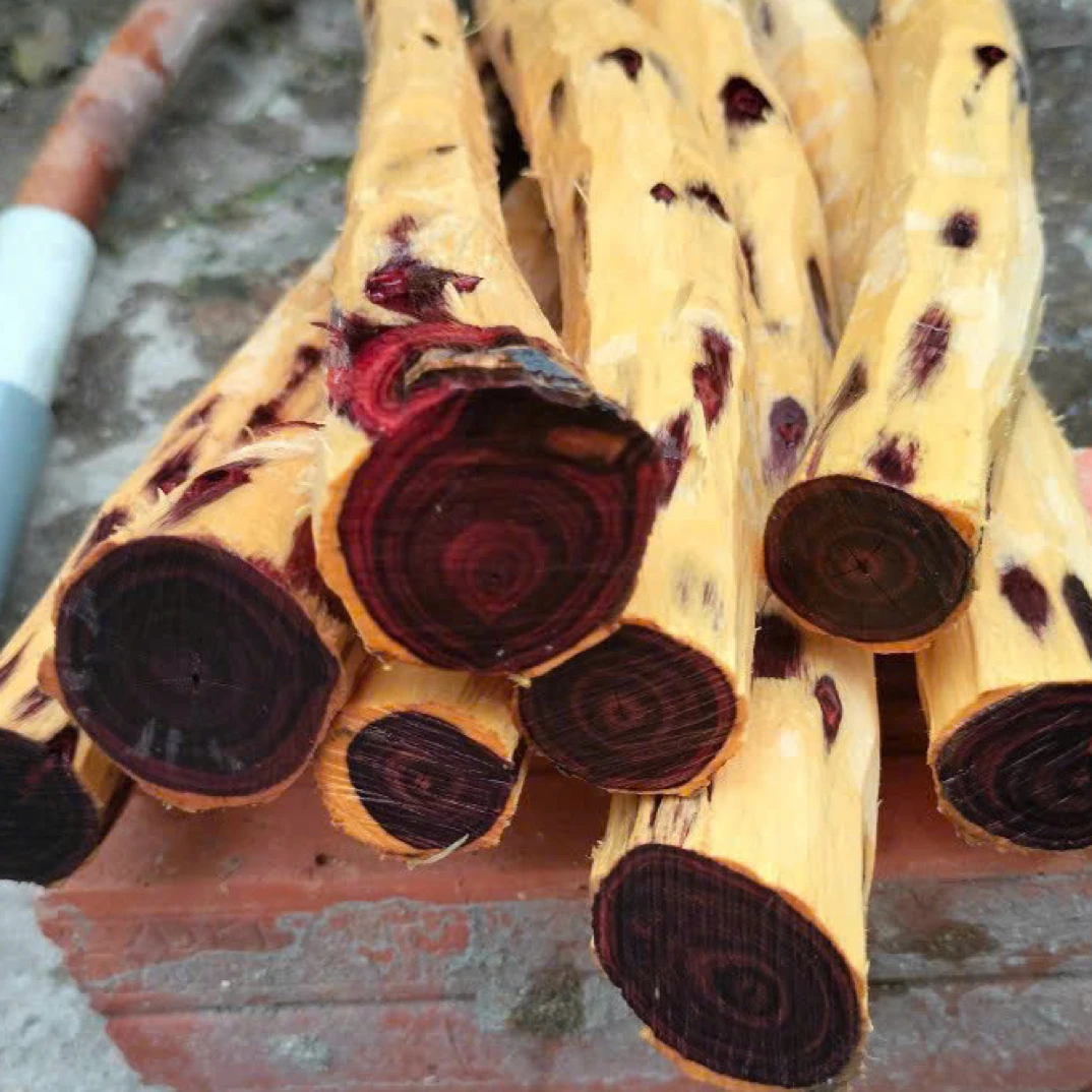 天然原料原木老料根雕手工艺直播间链接【多样性发其一】