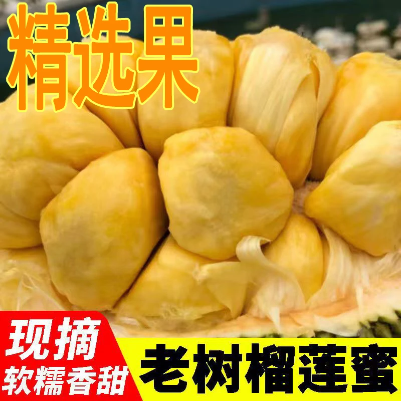 【榴莲蜜6-10斤】海南产地直发新鲜应季水果软糯香甜整个发