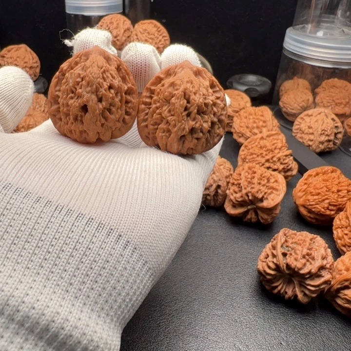 文玩核桃把件有**津38全品小虎头