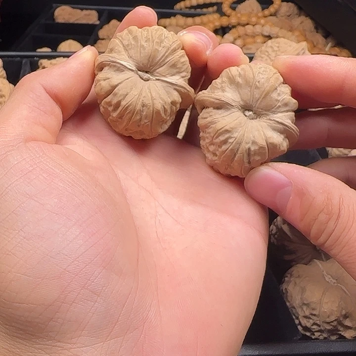 一***＇龙脊菩提吊坠啊啊啊啊啊啊啊南瓜12