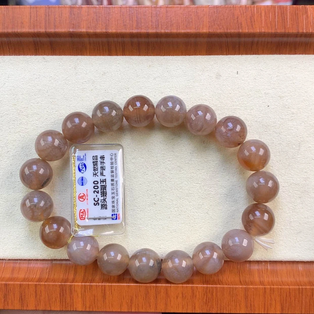 【闪购商品】颈饰未镶嵌硅化珊瑚（珊瑚玉）3号黑咖冰性价比！