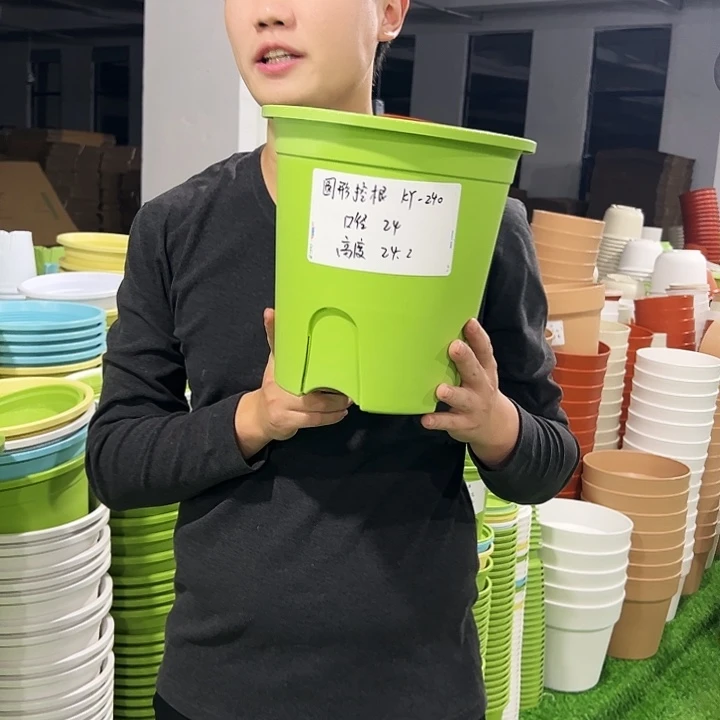 正品圆控口24高24果绿色8只无托