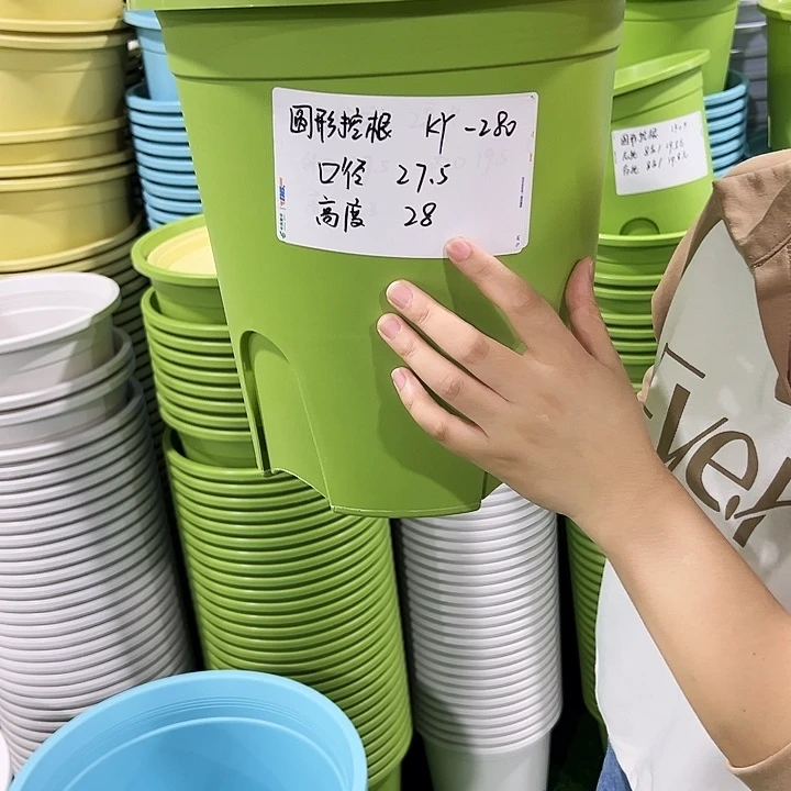 正品圆控口27高28果绿色无托5只