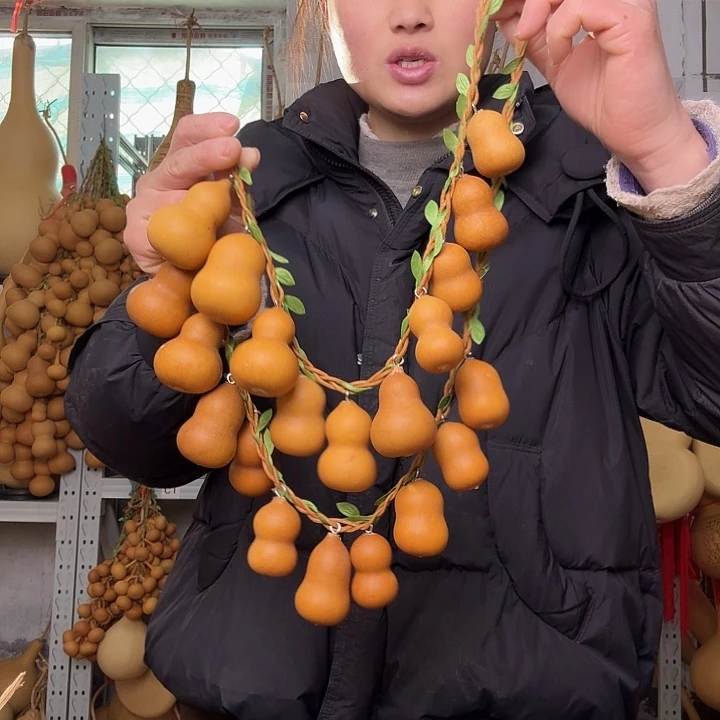 葫芦天然植物葫芦文玩