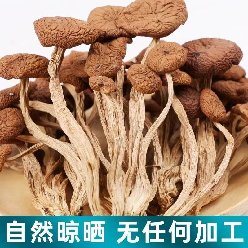 【玲姐补贴】精选茶树菇