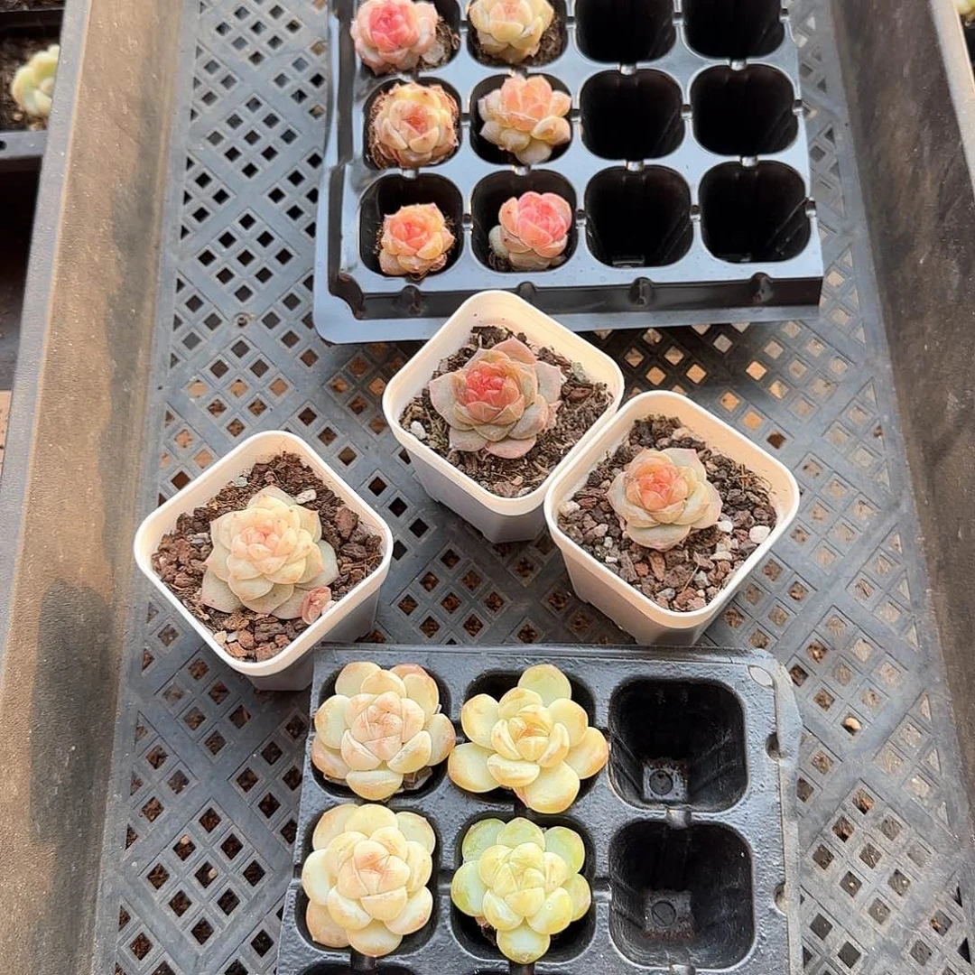 哈哈哈哈哈哈哈哈哈哈哈哈