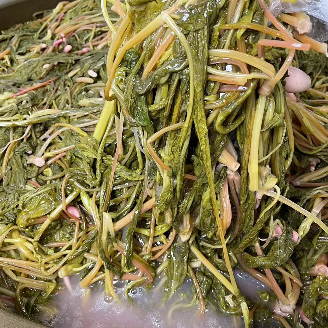 贵州毕节无盐酸菜人工清洗脆爽可口萝卜酸红萝卜菜酸菜零增酸剂