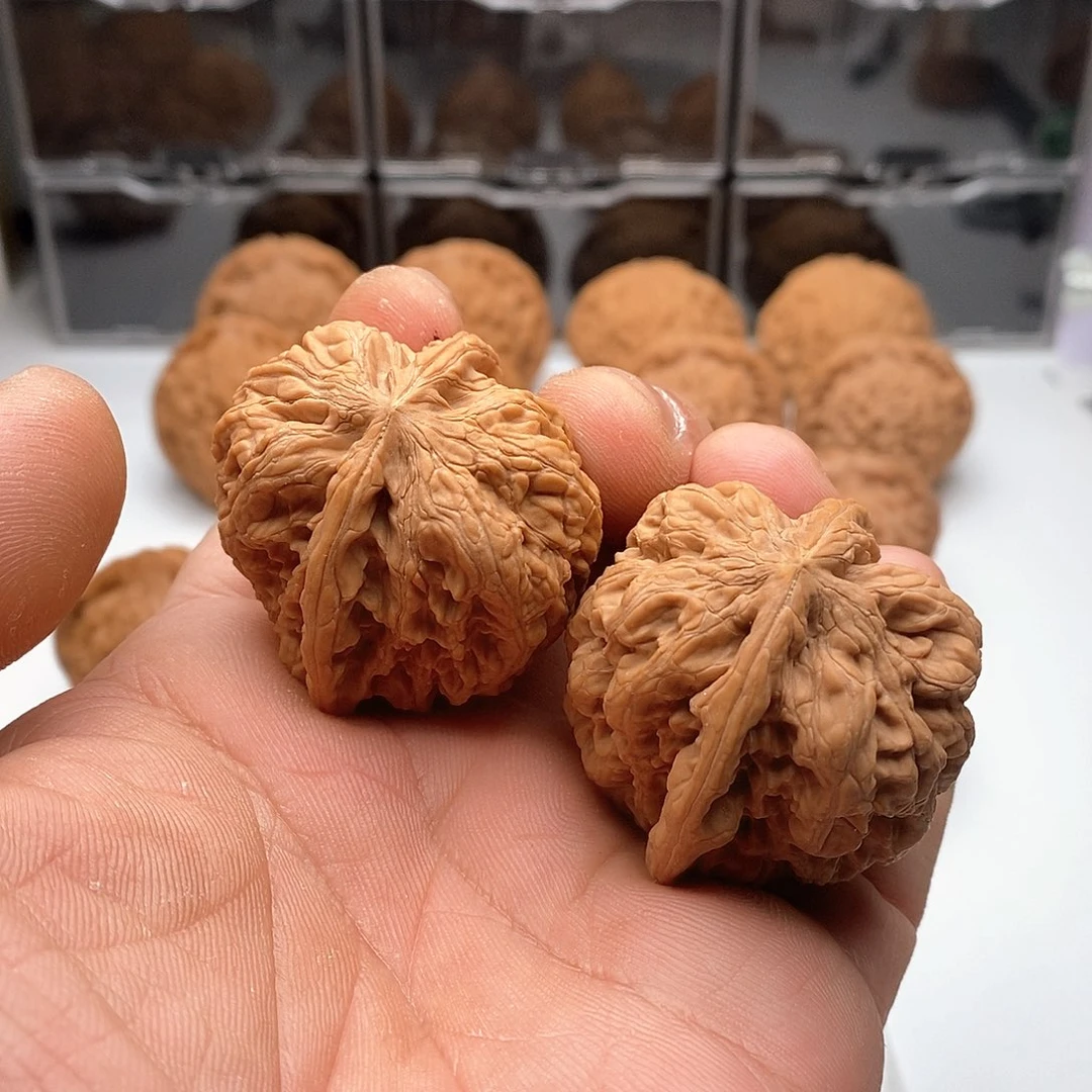 Z**X福利888888888888888888