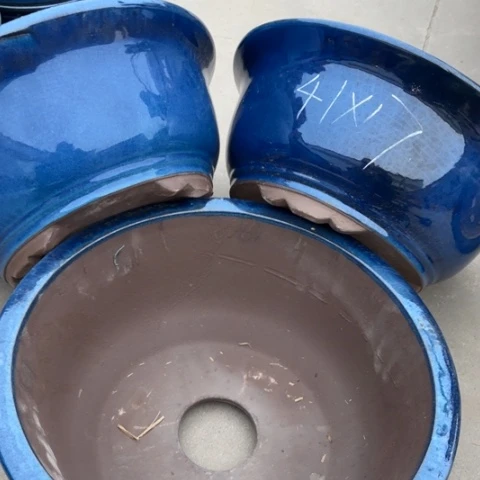 100-3。      微瑕41-17