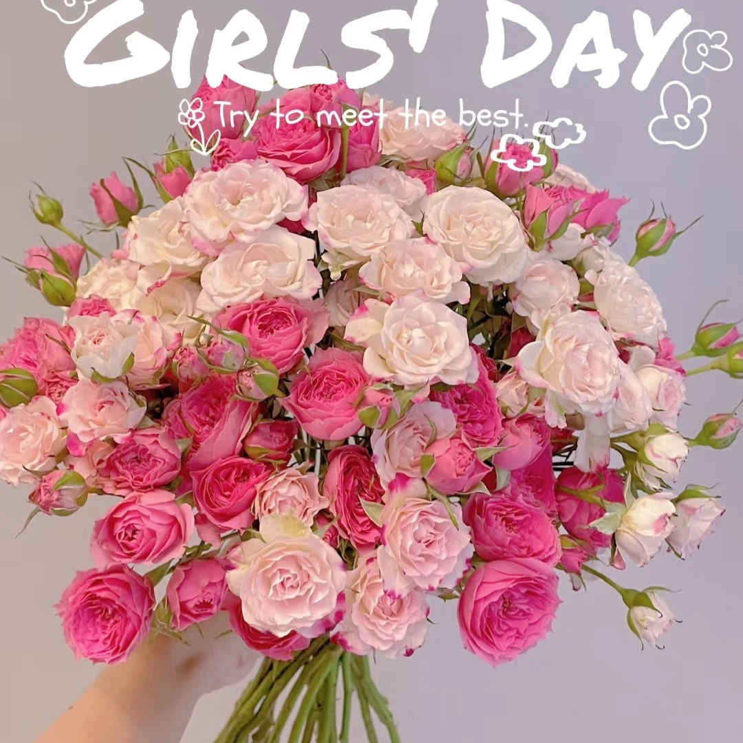 【多头玫瑰组合】白玲珑5枝➕苏菲宝贝5枝