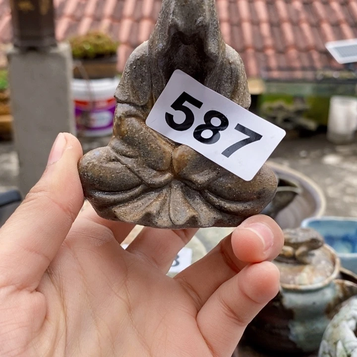 茶盏啦啦啦啦啦啦啦587