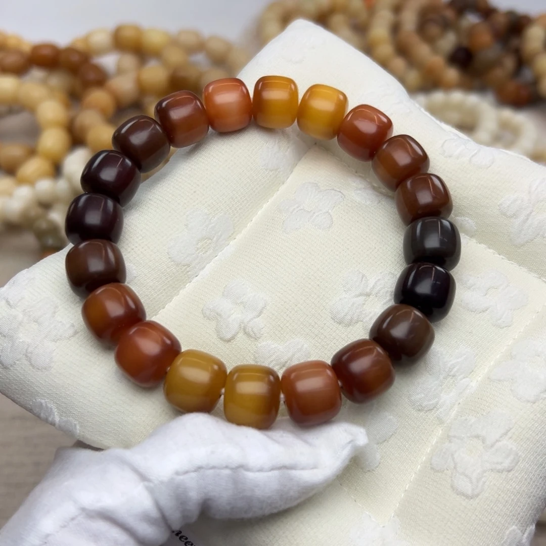 吊坠菩提根/象牙果14干磨770