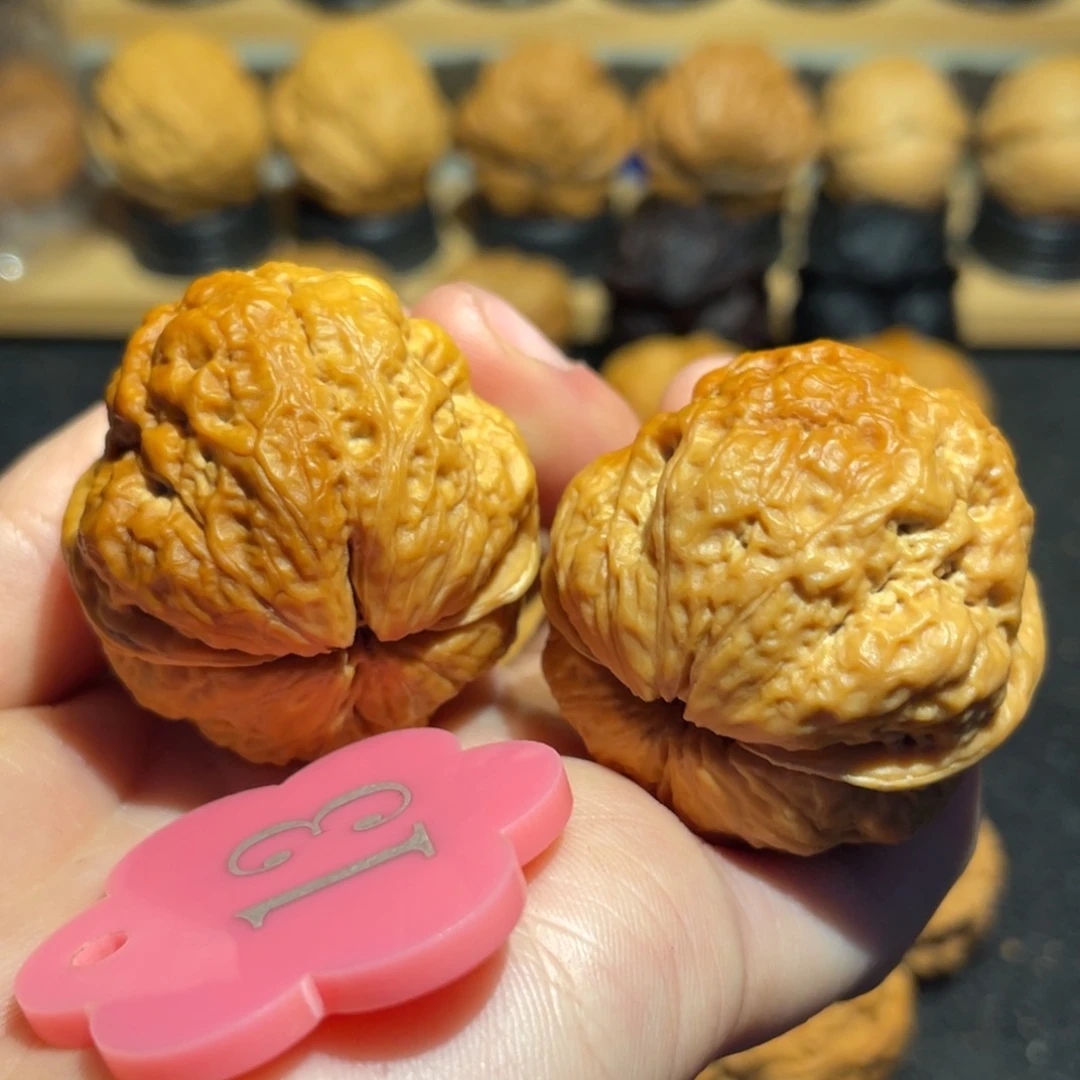 美***市极品爆肉七彩聚宝金蟾37