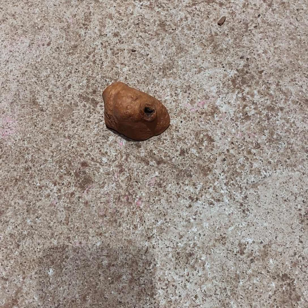 【***哥荔枝木随形香炉木材