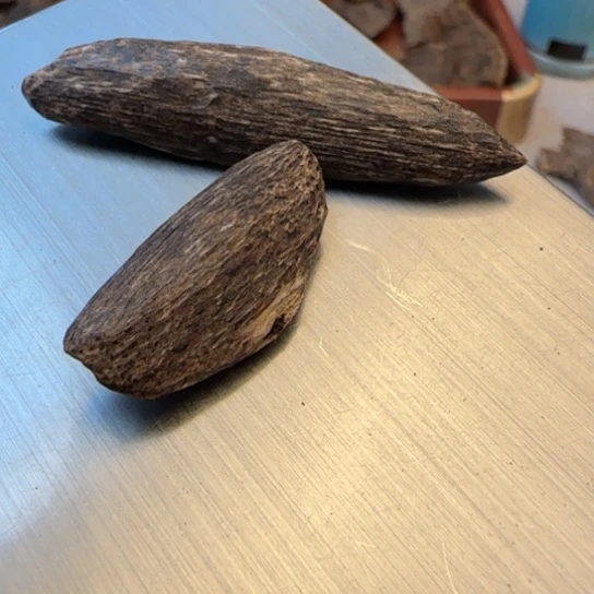 沉香摆件海南野瓜子2.4克