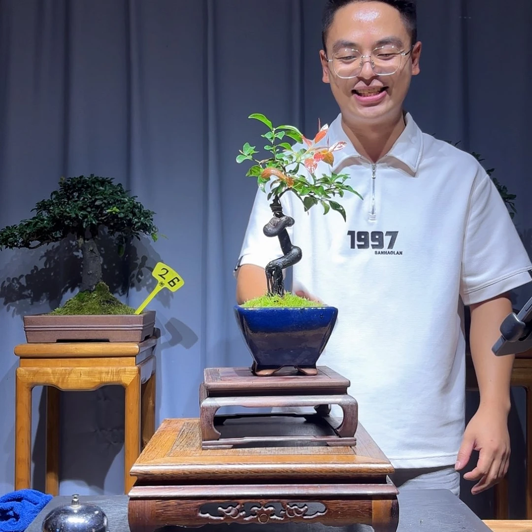 悠***悠无花朵金弹子是真的好看