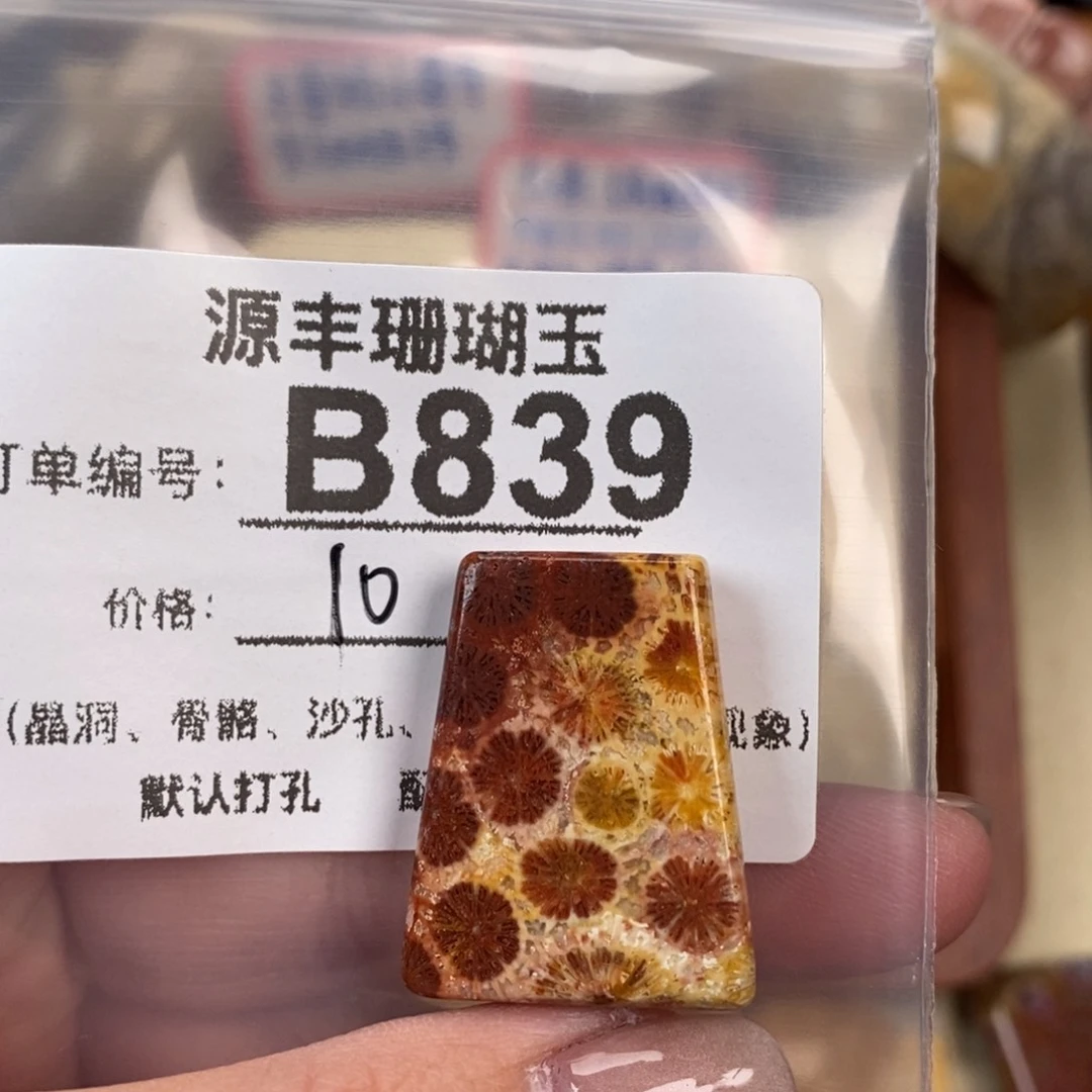 硅化玉颈饰未镶嵌极**恐