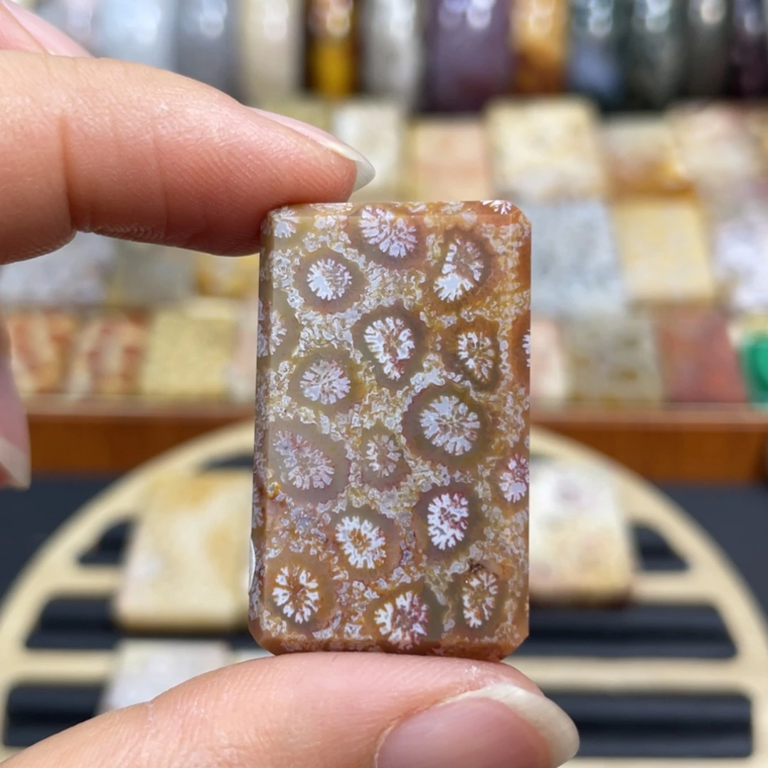 硅化玉未镶嵌颈饰k28