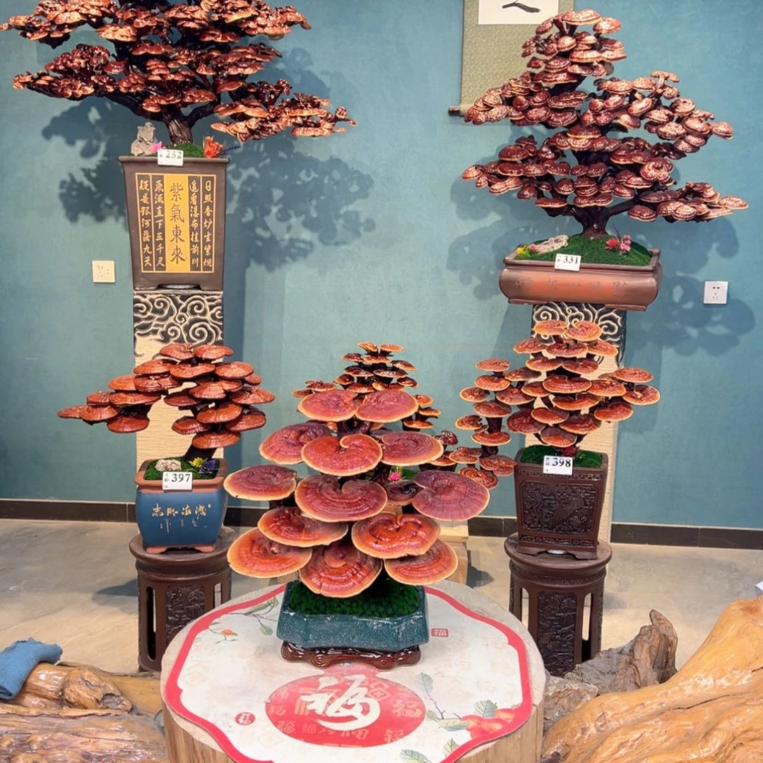 *****无花朵868888898888