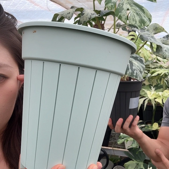 无花朵花盆一大一小送4个透气柱
