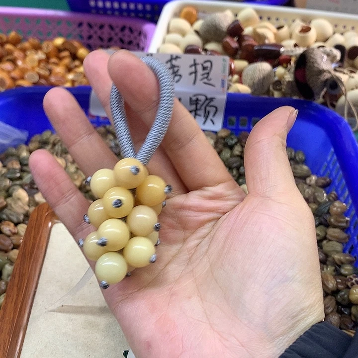 菩提根/象牙果吊坠菩提根