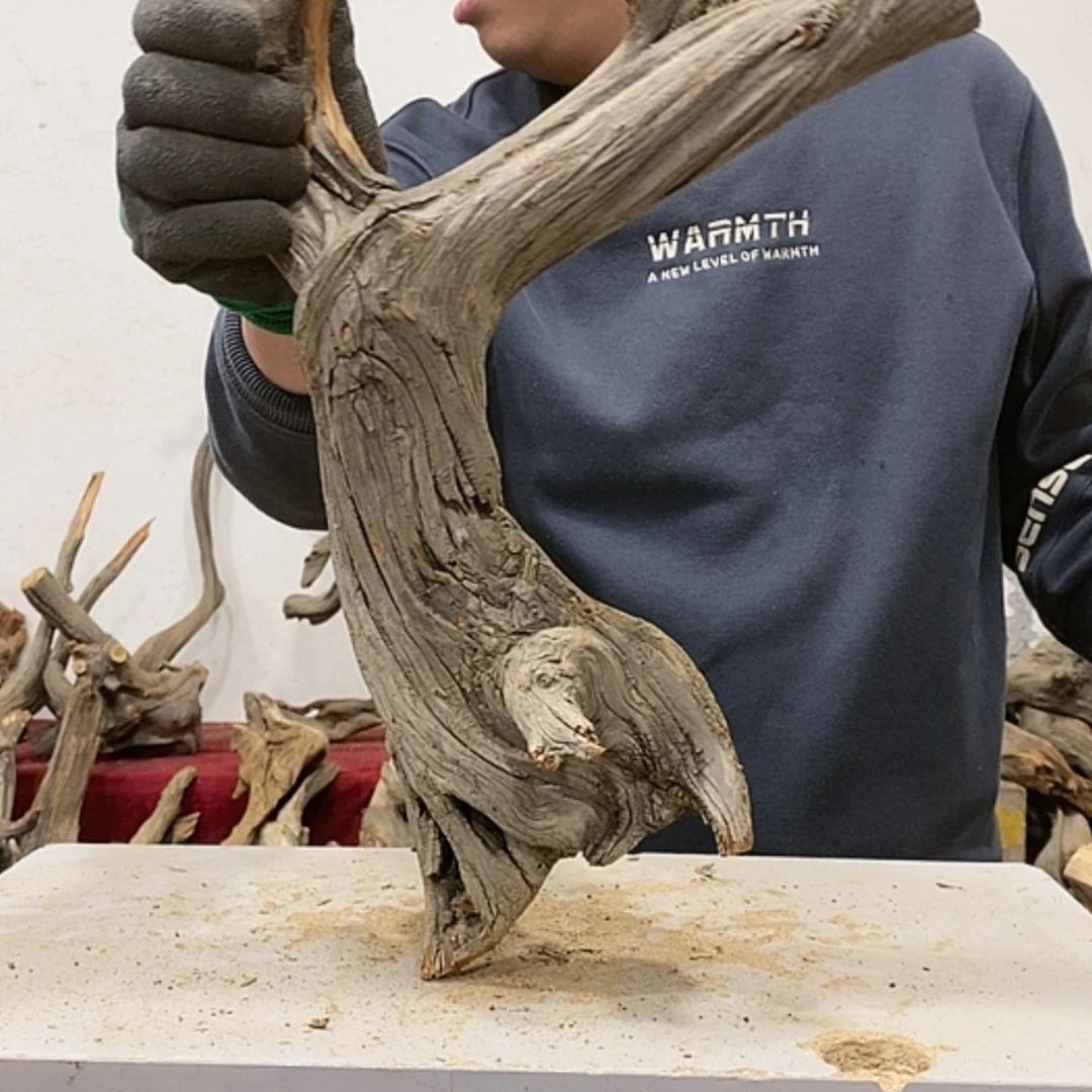 【闪购商品】柏木气*我们都是好孩子