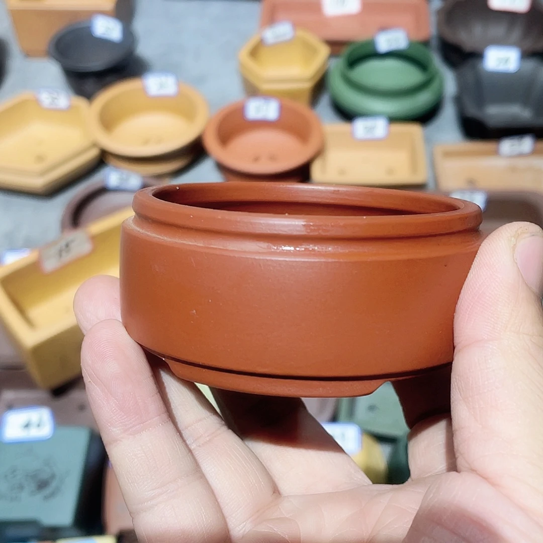 紫砂小盆7*2.5cmmmmm