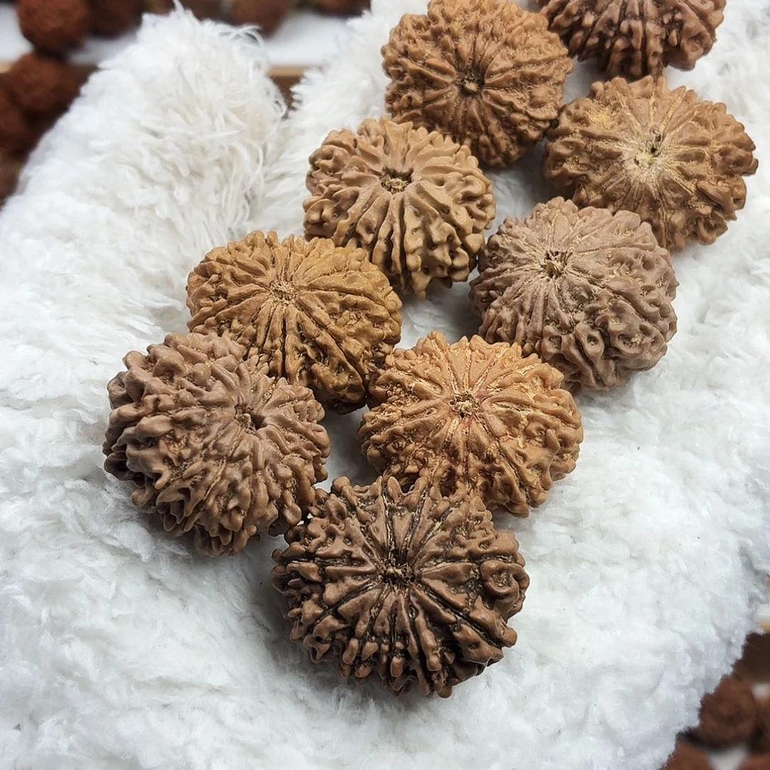 金刚菩提手串收藏版稀有精品11瓣元宝大尺寸