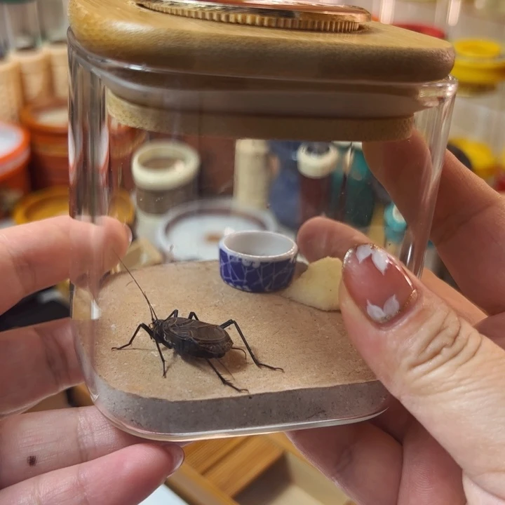 哈哈哈哈哈一个麒麟