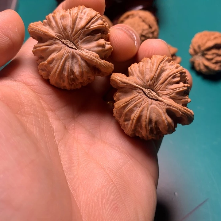 把件文玩核桃✡白狮子