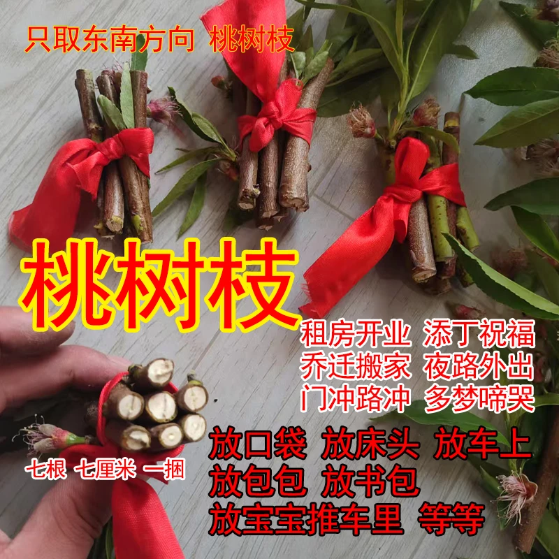 桃树枝桃木东南枝老桃树野生桃棒婴儿宝宝惊吓啼哭携带车载挂摆件